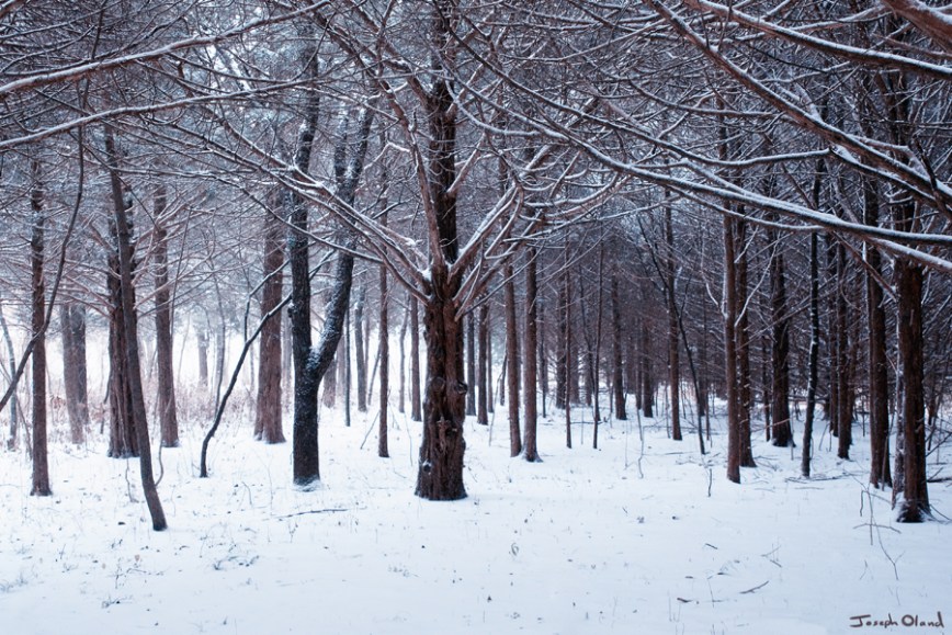 01-05 Magical Places post