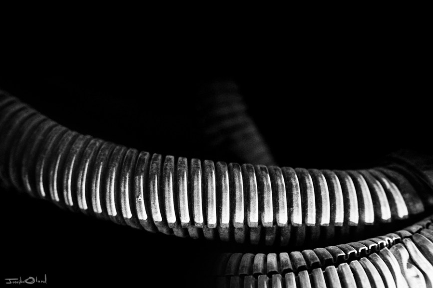 02-20 The Serpent post